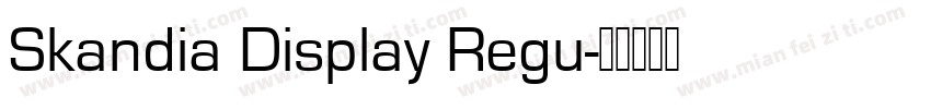 Skandia Display Regu字体转换